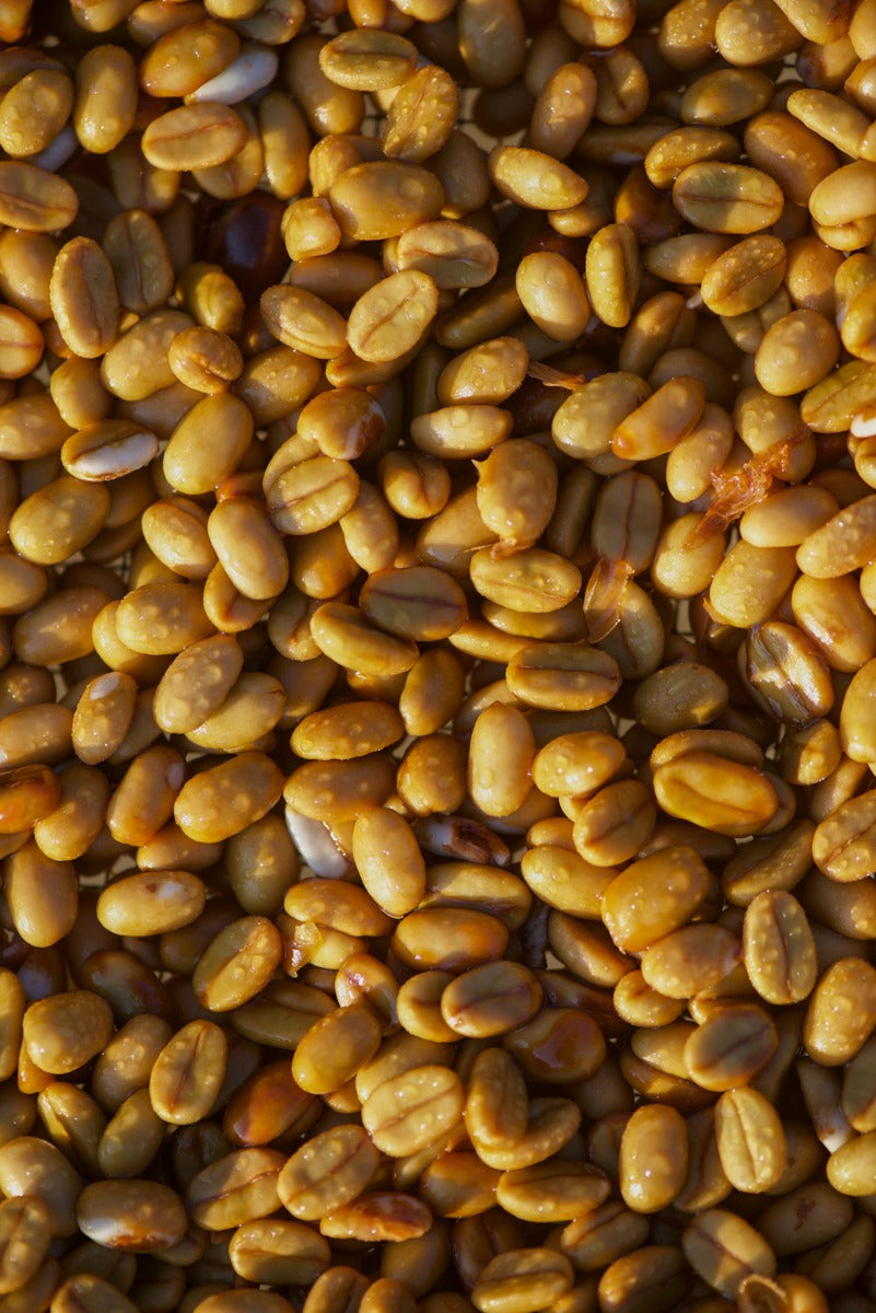 Café Verde de Altura