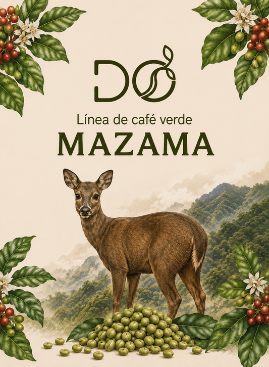 Café Verde "LINEA MAZAMA"